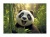 Irattartó tasak, A4 PP, patentos, 180 mikron, PANTA PLAST "Panda"